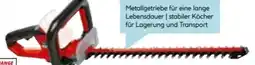 Hellweg Einhell Akku-Heckenschere Arcurra 18/55 Solo Angebot