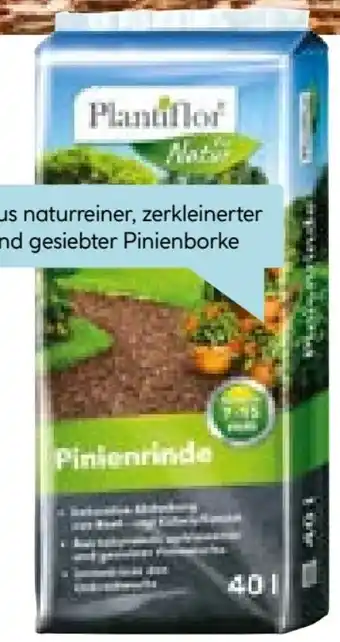 Hellweg Plantiflor Pinienrinde Angebot