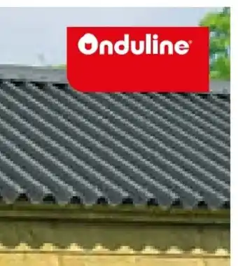 Hellweg Onduline Bitumen-Wellplatte Angebot