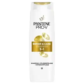 dm Pantene Pro-V Shampoo Angebot