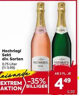 Billa Hochriegl sekt div. sorten Angebot