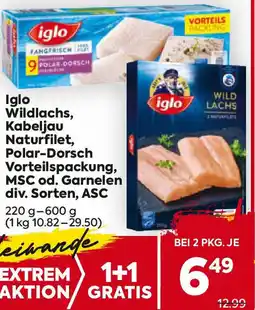 Billa Iglo wildlachs, kabeljau naturfilet, polar-dorsch vorteilspackung, msc od. garnelen div. sorten, asc Angebot