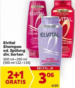 Billa Elvital shampoo od. spülung div. sorten Angebot