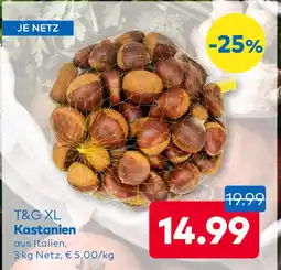 T&G T&G XL Kastanien Angebot