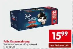Interspar Felix Katzennahrung Angebot