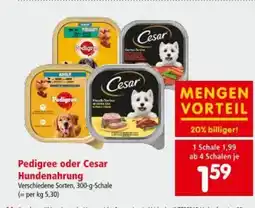 Interspar Pedigree oder Cesar Hundenahrung Angebot