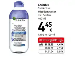 dm GARNIER SkinActive Angebot