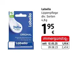 dm Labello Lippenpflege Angebot