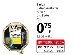 dm Sheba Katzennassfutter Schale Angebot
