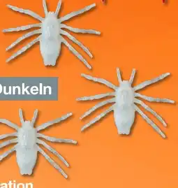 Woolworth Deko-Spinnen Angebot