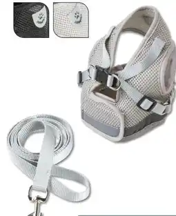 Woolworth Hundegeschirr-Set Angebot