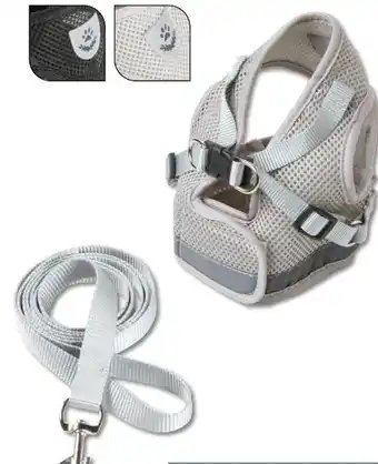 Woolworth Hundegeschirr-Set Angebot