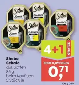 ADEG Sheba Schale Angebot