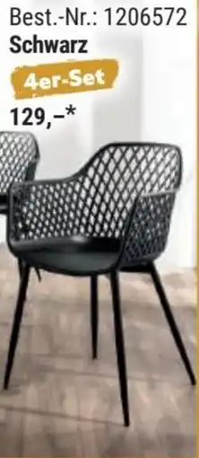 Norma Schwarz 4er-Set Angebot