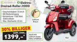 Norma Elektro- dreirad-roller j1000 Angebot