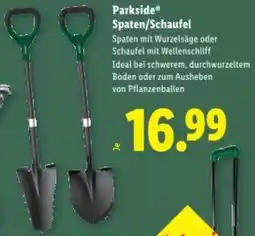 Lidl Spaten/Schaufel Angebot