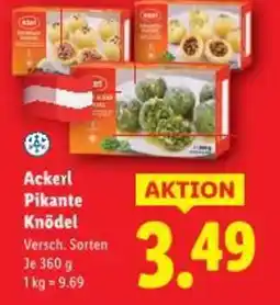 Lidl Ackerl Pikante Knödel Angebot