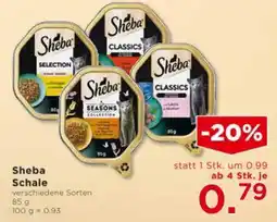 Unimarkt Sheba Schale Angebot