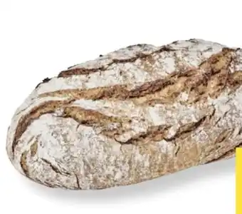 MPreis Therese Mölk Bio-Krustenbrot Angebot