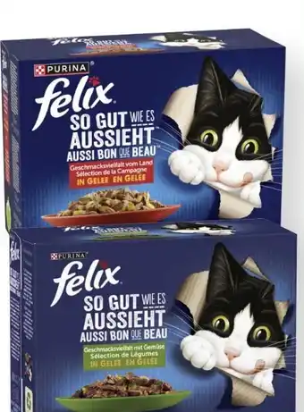 MPreis Purina Felix Katzenfutter Angebot