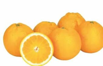 Transgourmet Orangen Angebot