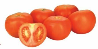 Transgourmet Tomaten Angebot