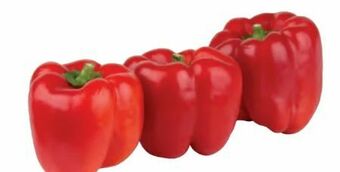 Transgourmet Paprika Angebot