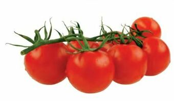 Transgourmet Cherry Rispentomaten Angebot