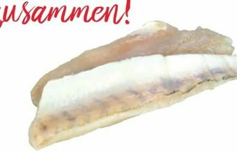 Transgourmet Zanderfilet Angebot