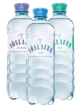 Transgourmet Vöslauer Mineralwasser Angebot