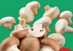 PENNY Champignons Angebot