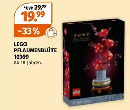 Müller Lego pflaumenblüte Angebot