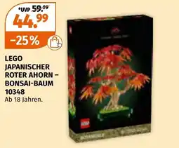 Müller Lego japanischer roter ahorn bonsai-baum Angebot