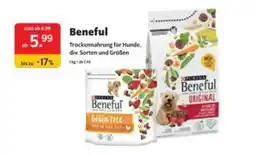 Das Futterhaus Beneful Angebot