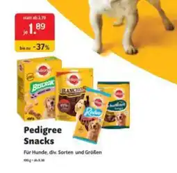 Das Futterhaus Pedigree Snacks Angebot