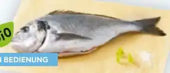 Billa Bio-Goldbrasse Angebot