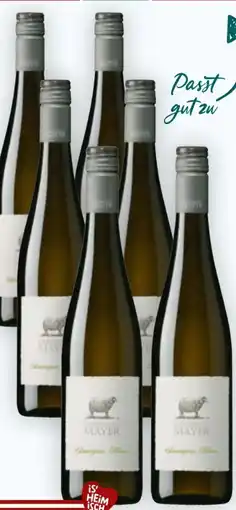 Billa Landhaus Mayer Sauvignon Blanc Angebot