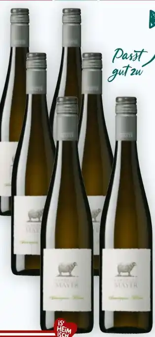 Billa Landhaus Mayer Sauvignon Blanc Angebot