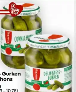 Billa Machland Delikatess Gurken Angebot