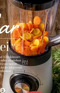 Maximarkt Simpex Basic Standmixer Angebot