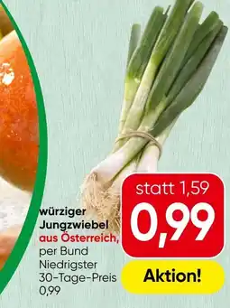 Spar würziger Jungzwiebel aus Österreich Angebot