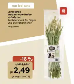 ZOO & Co Landpartie weizen- oder hafer- sträußchen Angebot