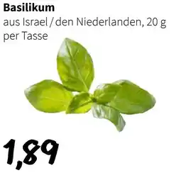 Der Grissemann Basilikum Angebot