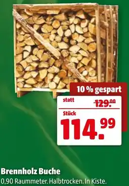Der Grissemann Brennholz Buche Angebot
