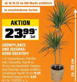 OBI Grünpflanze und seegras- korb-übertopf Angebot