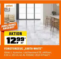 OBI Feinsteinzeug earth white Angebot