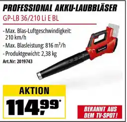 OBI Professional akku laubbläser Angebot