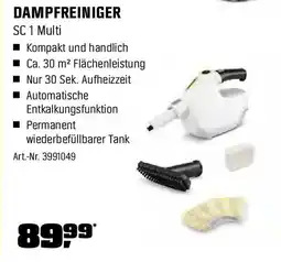 OBI Dampfreiniger Angebot