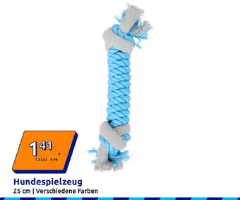 Action Hundespielzeug Angebot