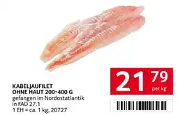 Transgourmet Kabeljaufilet ohne haut Angebot